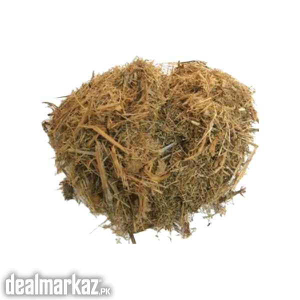 Buy Bagasse Online on Zarea photo 1