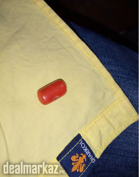 Red Coral Marjan - WhatsApp for Order photo 2