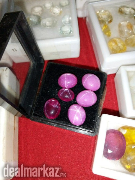 Ruby Star African, Neelum Star - Whatsapp for Latest Prices photo 2