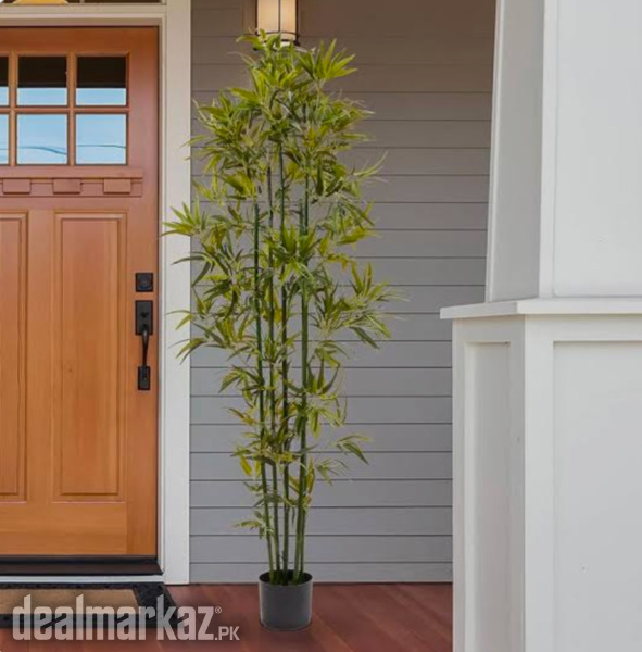 Beautiful Artificial Bamboo Plant photo 1