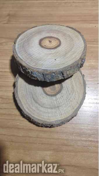 4 Rustic Wood Slices 3”–3.5” – Natural Tree Rounds photo 1