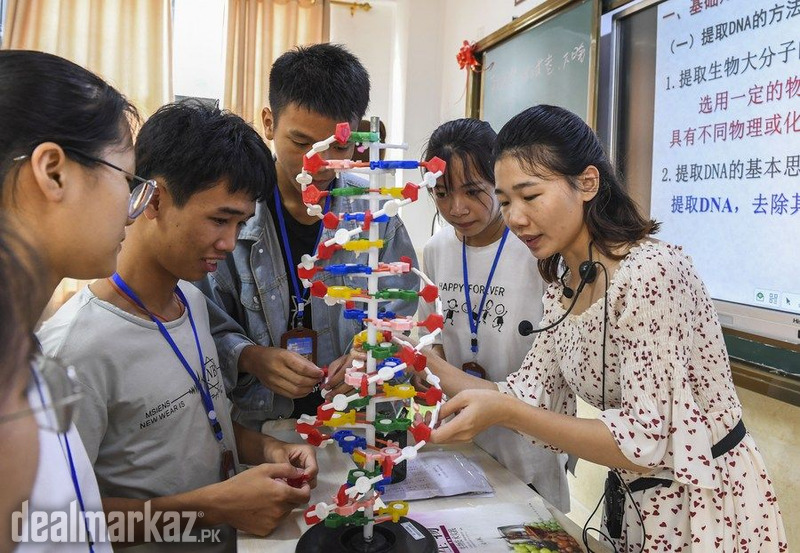 DNA model China photo 1