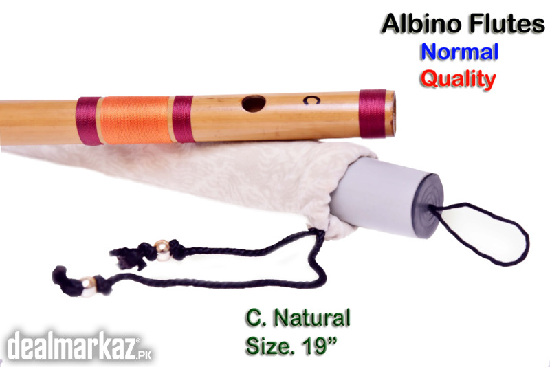 C scale Natural Medium Side Blown Bamboo Bansuri/ Flute for Beginner photo 1