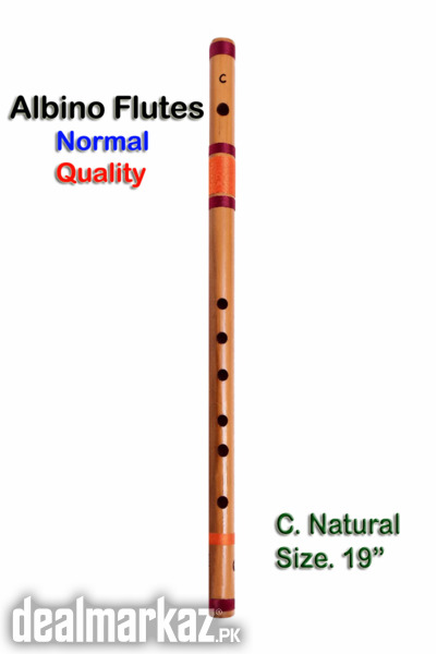 C scale Natural Medium Side Blown Bamboo Bansuri/ Flute for Beginner photo 2