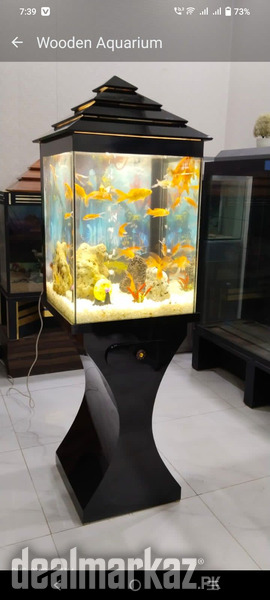 Wooden aquarium photo 1