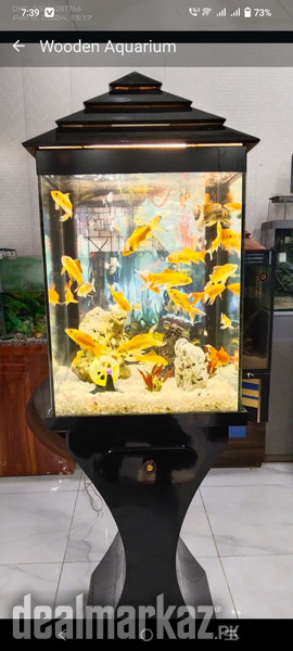 Wooden aquarium photo 2