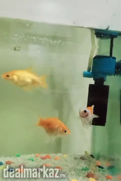 Aquarium for sale photo 1