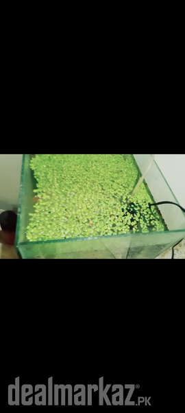 Aquarium for sale photo 2