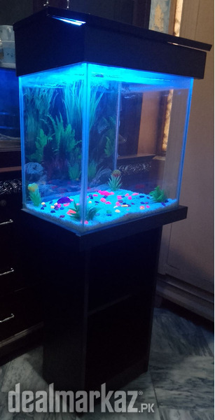 Aquarium for sale