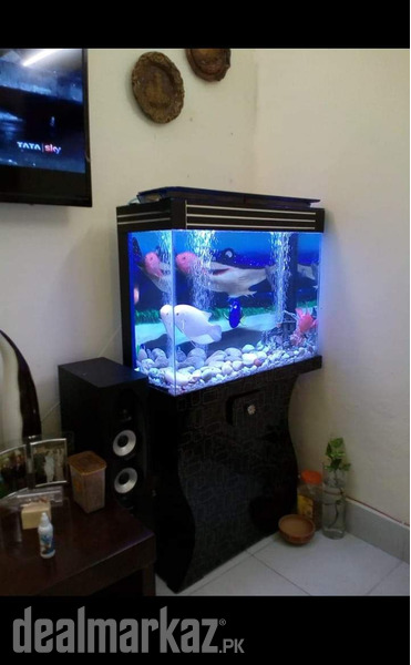 Blackberry DhC Aquarium