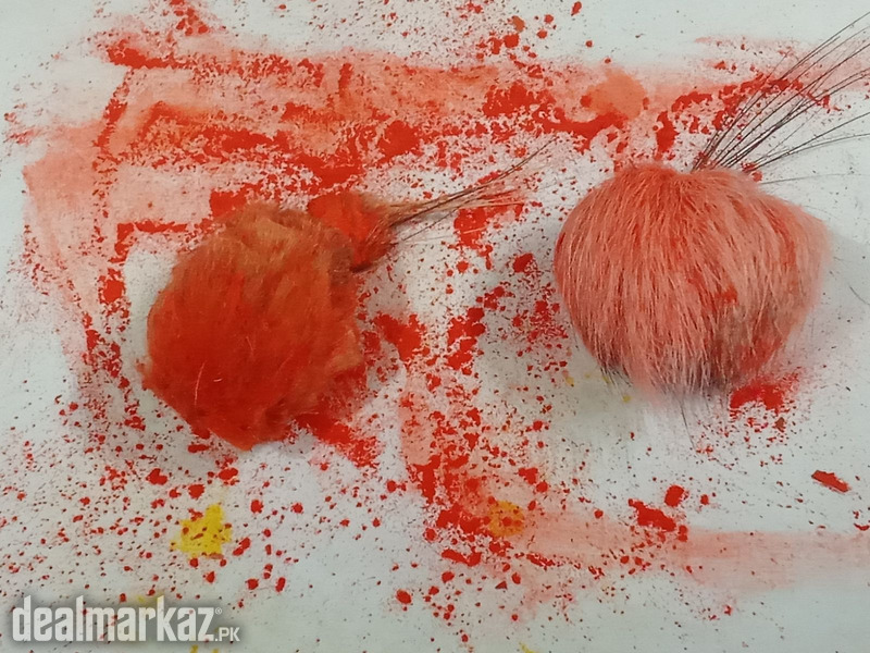 Gidar Singhi | 2Pcs | 28 Years Old | 100% Original photo 1