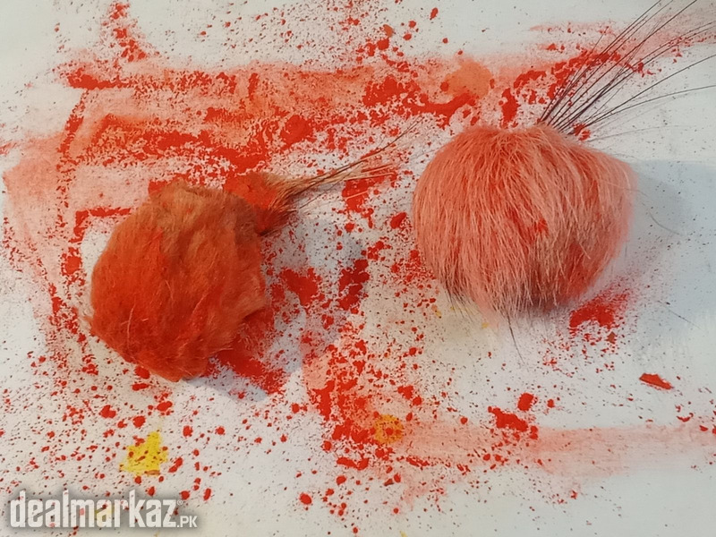 Gidar Singhi | 2Pcs | 28 Years Old | 100% Original photo 2