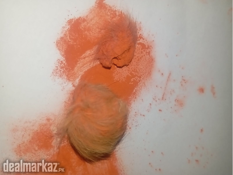 Asli Gidar Singhi (Pair) photo 2