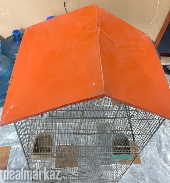 Used double floor cage