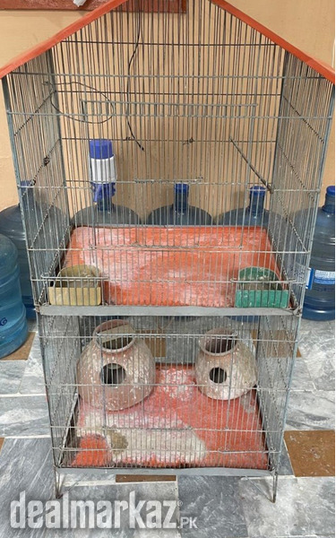 Used double floor cage photo 2