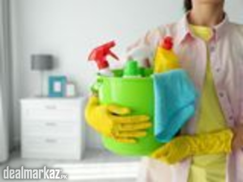 maids and domestic services photo 1