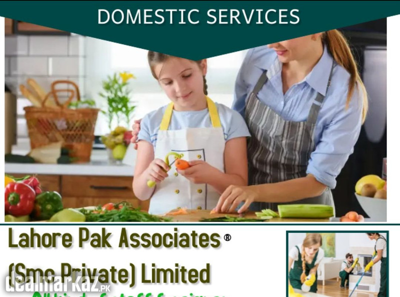Lahore home maid service photo 1