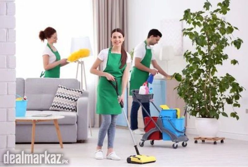 Aya nurse maid cook chef nanny babysitter patient care couple photo 1