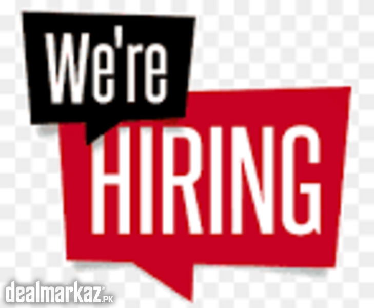 Excel sheet data entry job photo 1