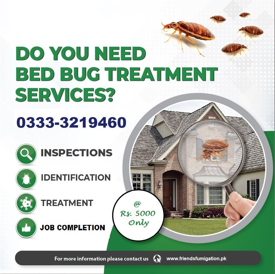 Fumigation Services in Karachi 0333-3219460 photo 3