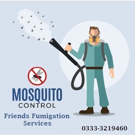 Fumigation Services in Karachi 0333-3219460 photo 2