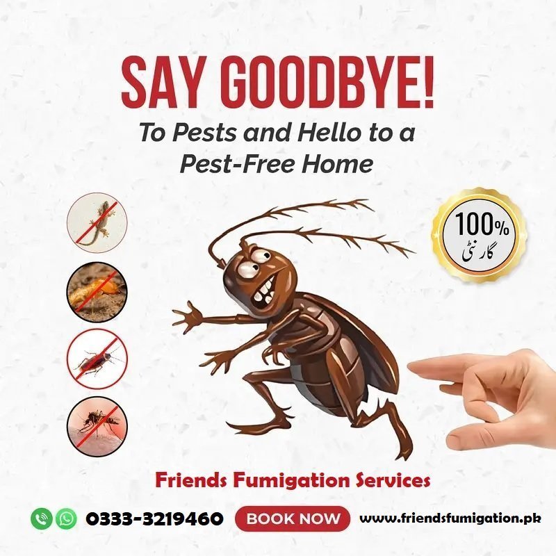 Fumigation Services in Karachi 0333-3219460
